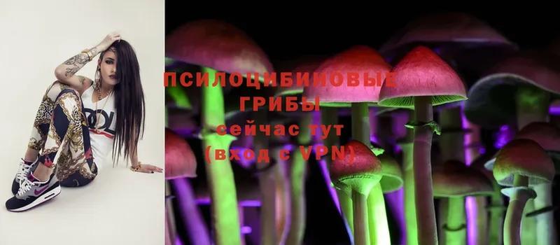 Галлюциногенные грибы Psilocybe  blacksprut ССЫЛКА  Ивдель 